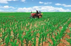 通辽:绘制“玉米产业图谱” 做强玉米生物科技产业链